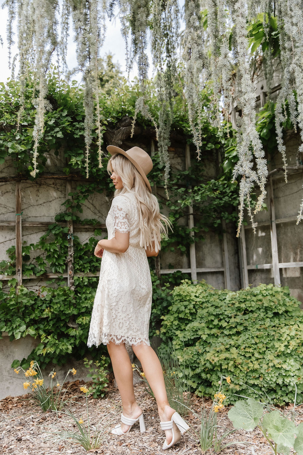 A Dream Is A Wish Lace Dress in Cream | Hashtag DNA Large A Dream Is A Wish Lace Dress in Cream | Hashtag DNA Large